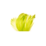 Piórka dekoracyjne - Oliwkowe, 12 g