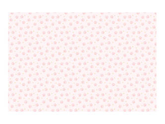 Obrus papierowy Łapki, 180x120 cm